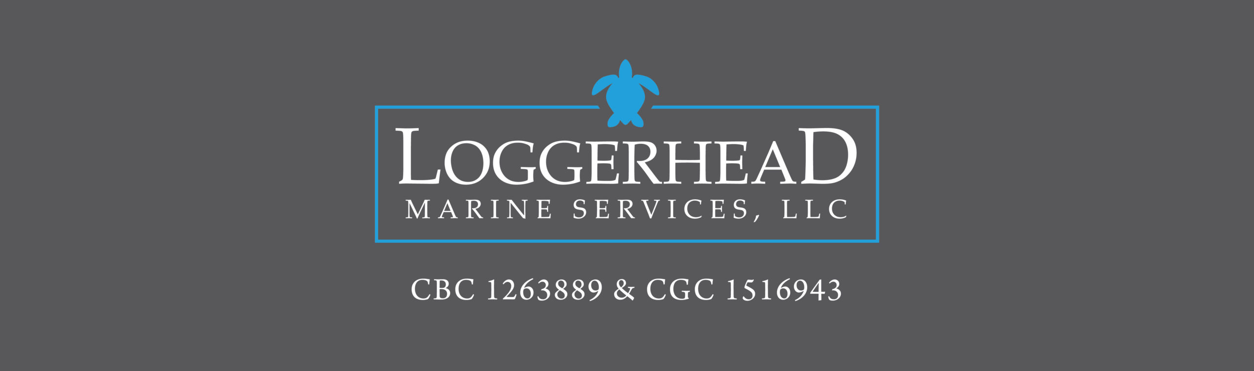 Loggerhead Marine Services